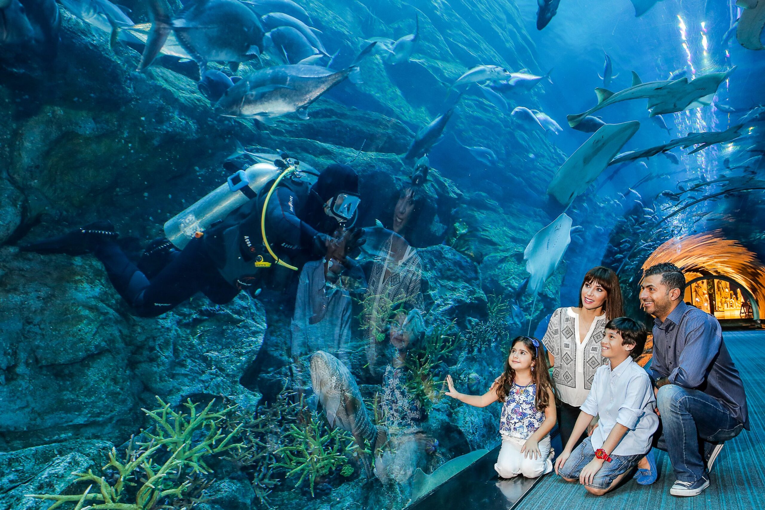 Dubai Aquarium and Underwater Zoo