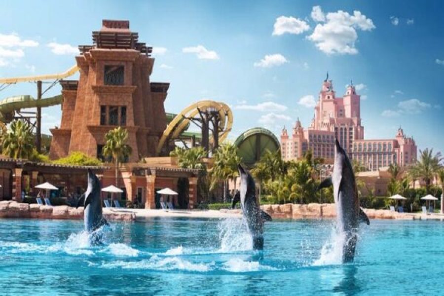 Dubai Dolphin Encounter at Atlantis Waterpark