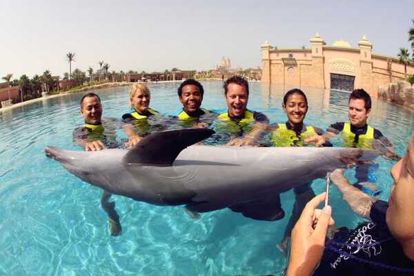 Dubai Dolphin Encounter at Atlantis Waterpark