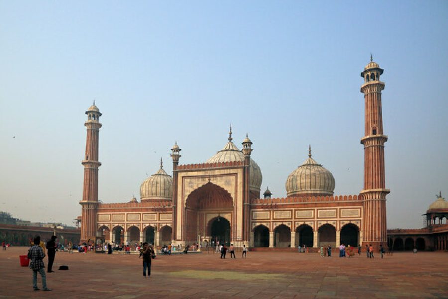 Delhi: Private Old and New Delhi City Day Trip