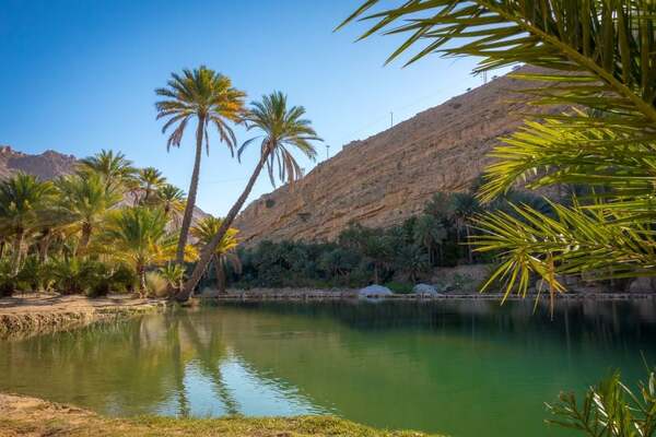 Wahiba Sands & Wadi Bani Khalid Group Tour
