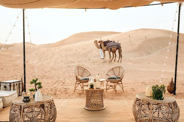 Overnight Doha Desert Safari with BBQ Dinner