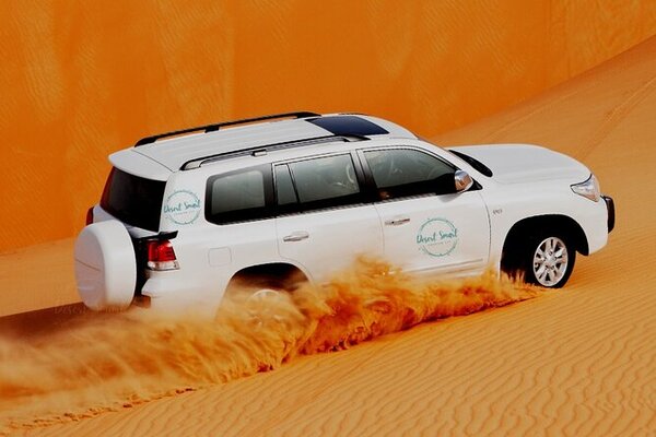 Dubai Half-Day Desert Safari, Camel Ride & Dune Bashing