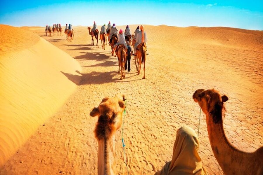 Dubai Half-Day Desert Safari, Camel Ride & Dune Bashing