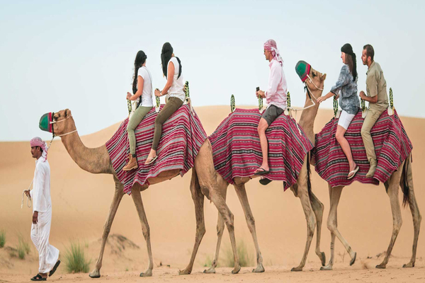 Dubai Half-Day Desert Safari, Camel Ride & Dune Bashing