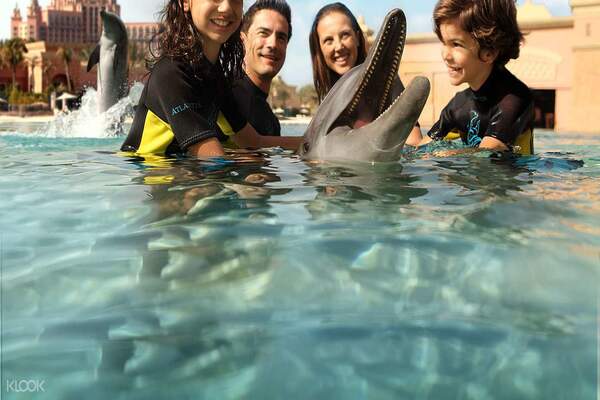 Dubai Dolphin Encounter at Atlantis Waterpark