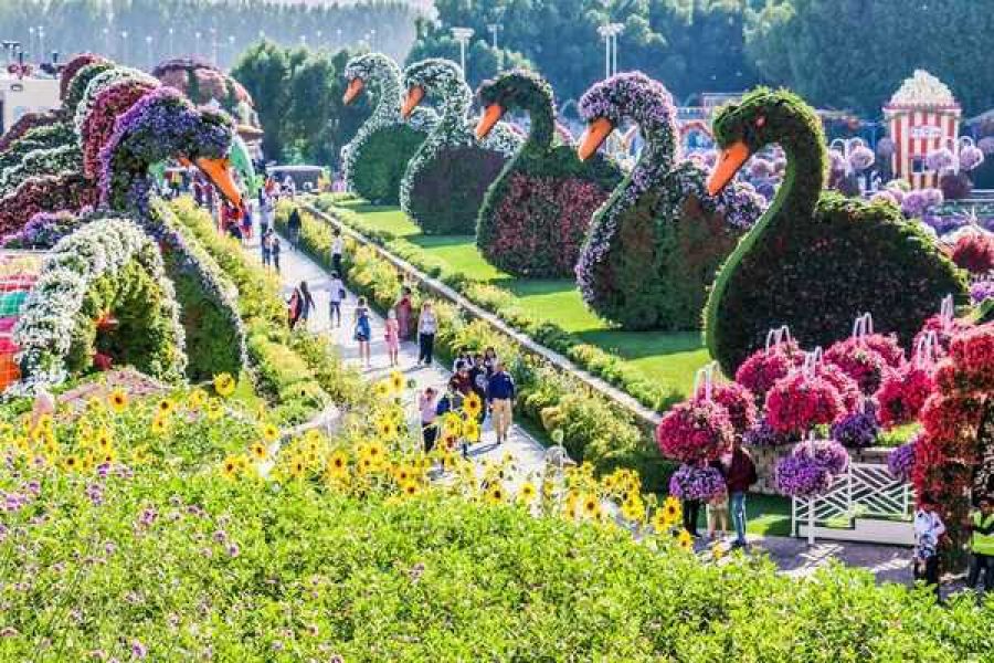 Dubai Global Village & Miracle Garden with Hotel Transfers