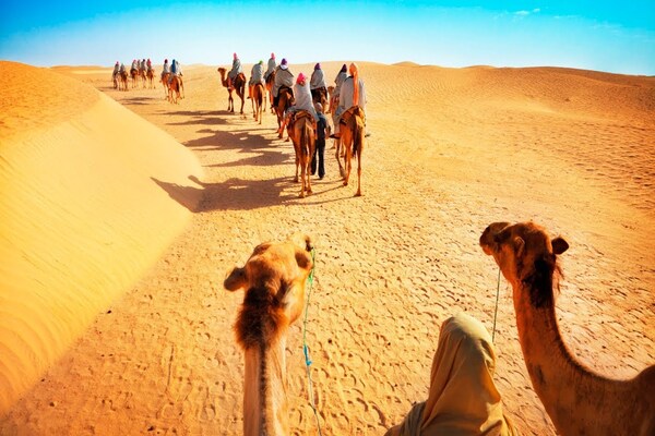 Overnight Desert Safari Dubai, Camels, Dinner & Stargazing