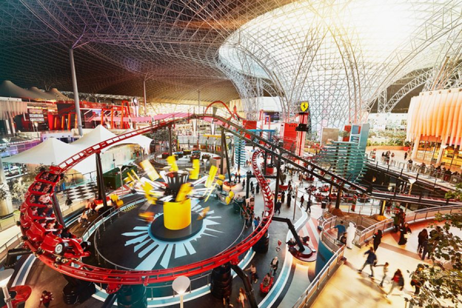 Private Abu Dhabi City Tour with Ferrari World From Dubai