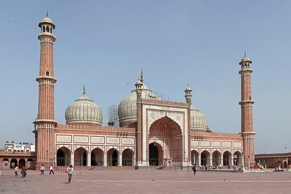 Delhi: Old and New Delhi Private Sightseeing Tour