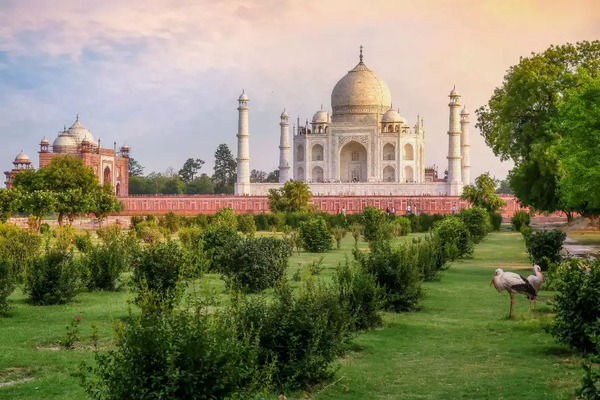 From Delhi: 7 Days Delhi, Agra & Jaipur Tour with Tiger Safari