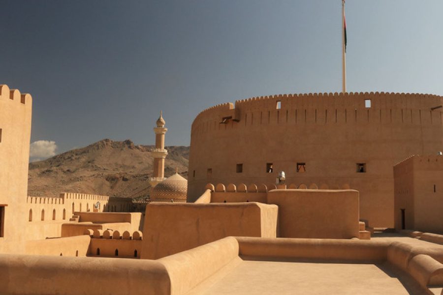 Nizwa & Al Hamra Guided Historical Tour From Muscat