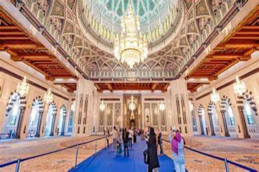 Abu Dhabi Sheikh Zayed Mosque and Palaces Tour From Dubai
