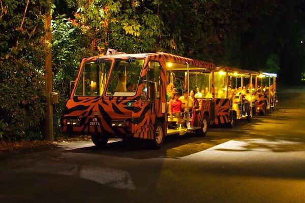 Singapore Night Safari with Tram Ride Ticket