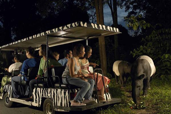 Singapore Night Safari with Tram Ride Ticket