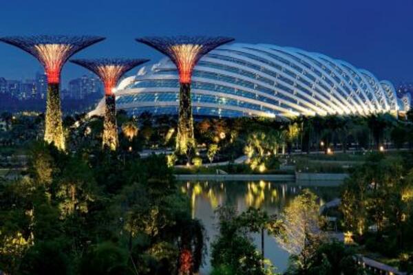 Singapore Night Safari with Tram Ride Ticket