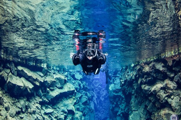 Muscat Dolphin Watching and Snorkeling Tour