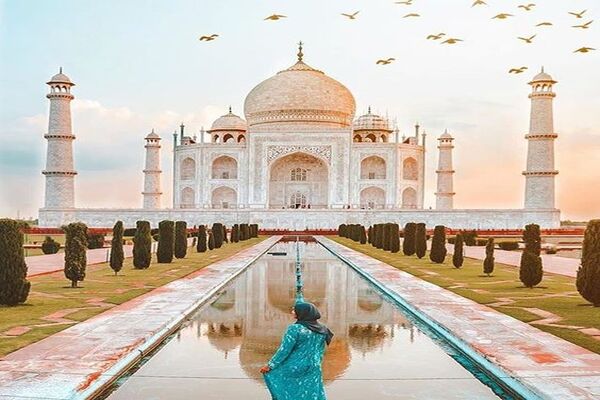 From Delhi: 7 Days Delhi, Agra & Jaipur Tour with Tiger Safari