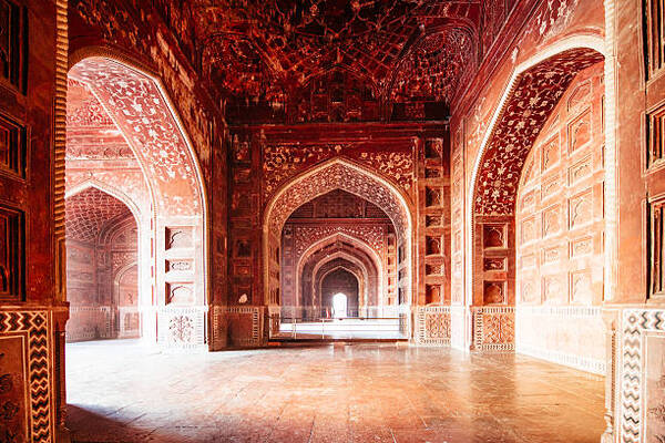 From Delhi: 7 Days Delhi, Agra & Jaipur Tour with Tiger Safari