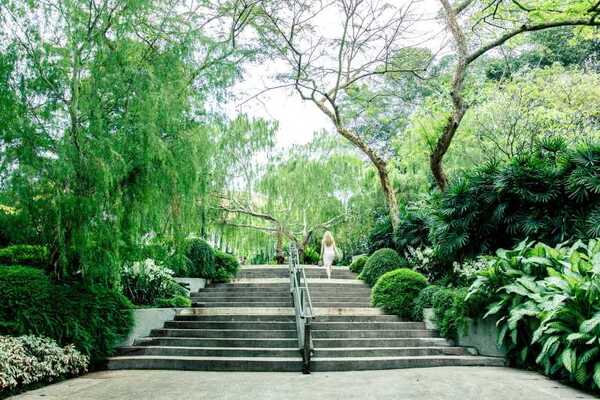 Singapore Half-Day City Tour with Hotel Transfer