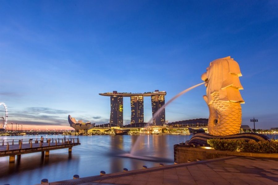 Singapore Half-Day City Tour with Hotel Transfer