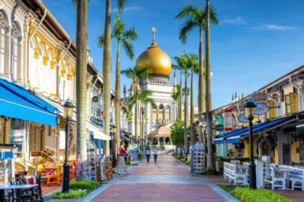Singapore: Chinatown and Little India Guided Walking Tour
