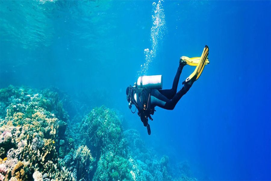 Dubai Scuba Diving Tour