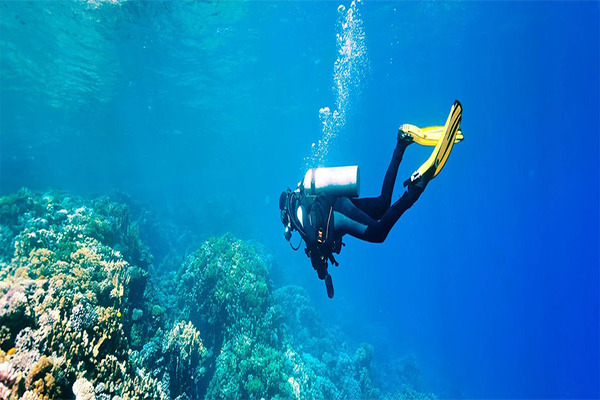 Dubai Scuba Diving Tour