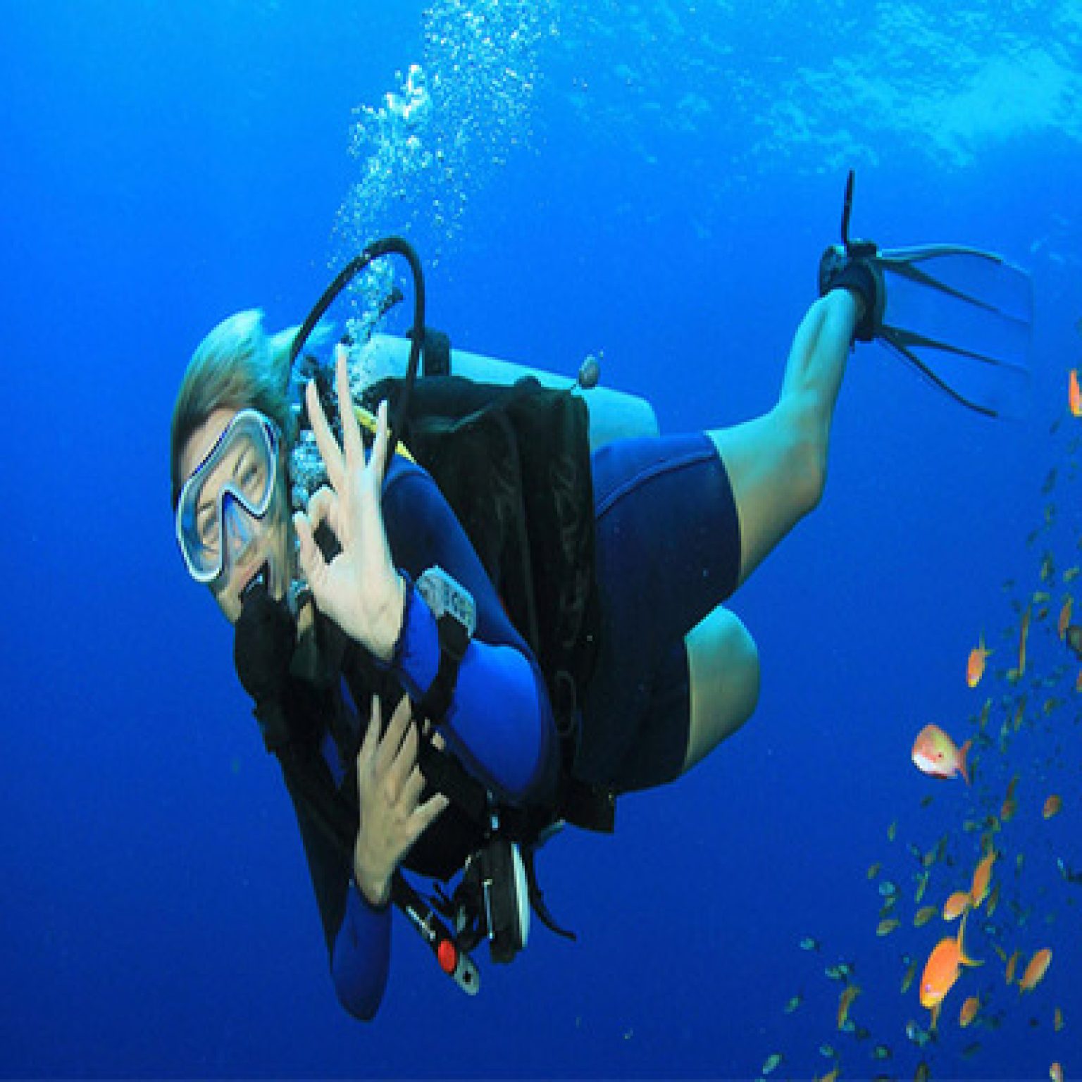 Scuba Diving Tour Dubai