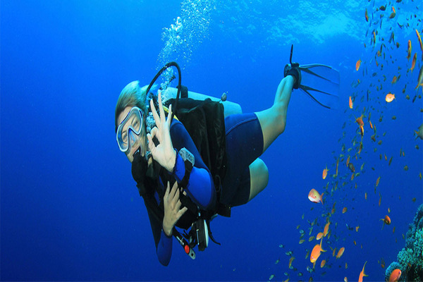 Dubai Scuba Diving Tour