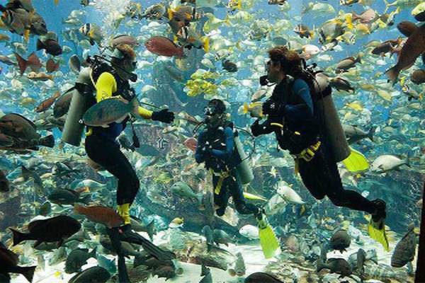 Dubai Scuba Diving Tour