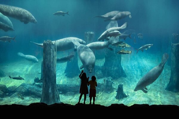 Private Singapore Sightseeing Layover & Stopover Tour