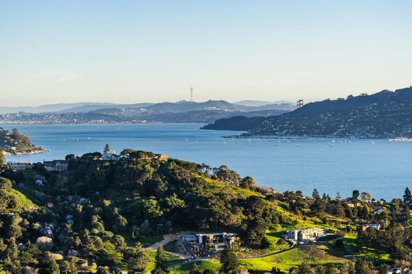 Discover Auckland: Small Group Sightseeing Half Day Tour