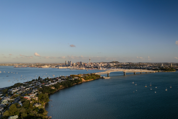 Discover Auckland: Small Group Sightseeing Half Day Tour