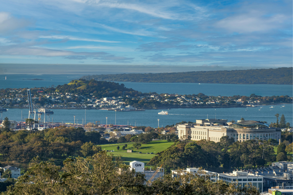 Discover Auckland: Small Group Sightseeing Half Day Tour