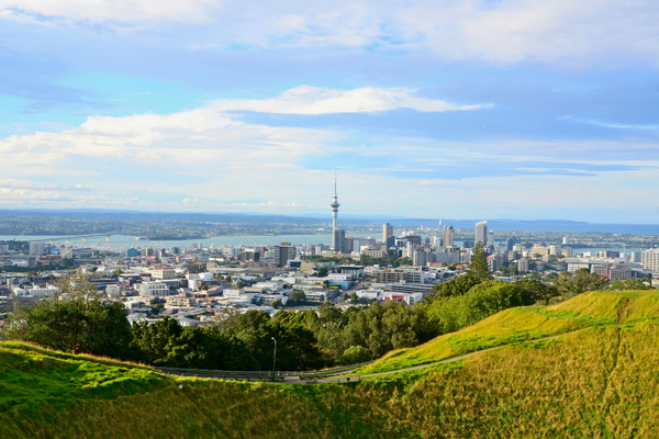 Discover Auckland: Small Group Sightseeing Half Day Tour