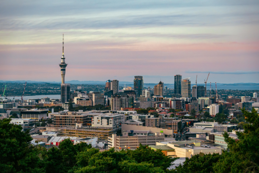 Discover Auckland: Small Group Sightseeing Half Day Tour